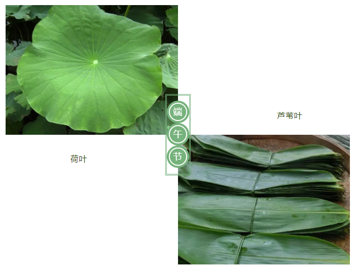 云顶4008医纺