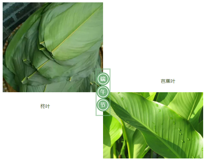 云顶4008医纺