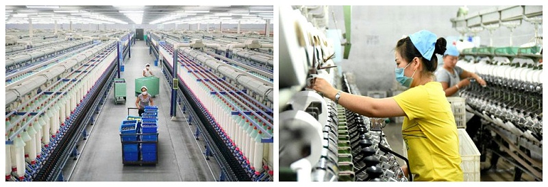 云顶4008医纺