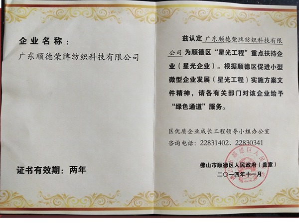 云顶4008荣获政府重点扶持企业